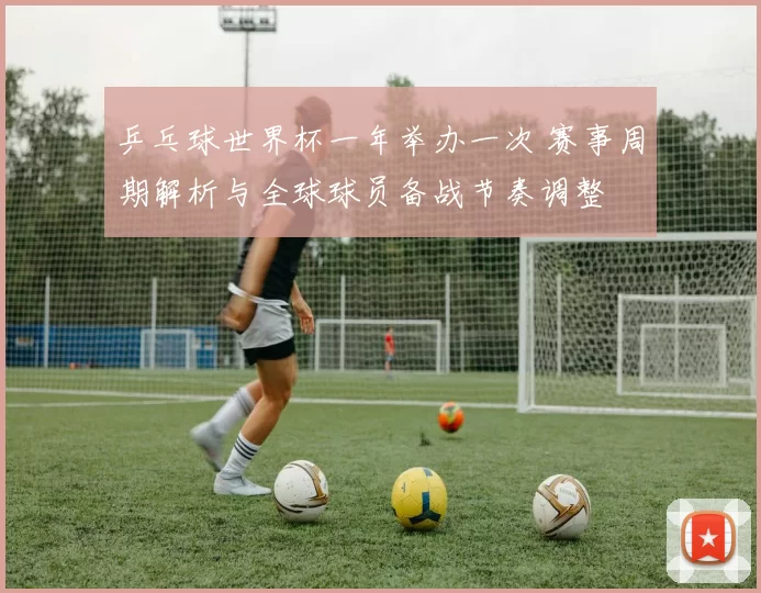 乒乓球世界杯一年举办一次 赛事周期解析与全球球员备战节奏调整
