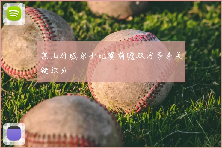 黑山对威尔士比赛前瞻双方争夺关键积分